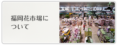 福岡花市場について