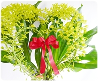 Ｗハートリボン2