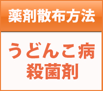 うどんこ病
