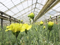 content_43c5a08b1c[1]