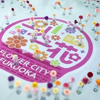 56536159_2029922773975804_5666916181194309632_n[1]