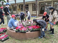 PXL_20201126_020802886