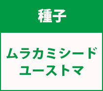 村上シードユーストマ