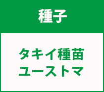 タキイユーストマ