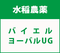 バイエルヨーバル