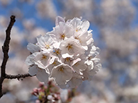 PXL_20210326_233026034.PORTRAIT1