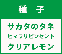 サカタ紹介