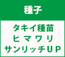 タキイヒマワリ