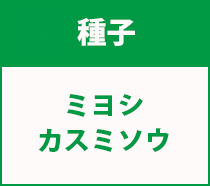 e5adf46ef78cd8c22f16cca1c181c264