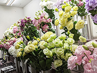 217600398_4658105584255577_6021720603930788257_n