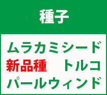 ムラカミパール