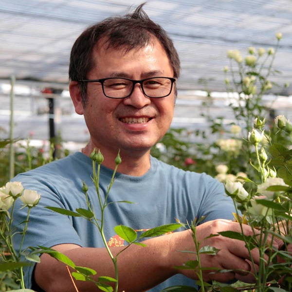 楢原バラ園 産地紹介 福岡県花卉農業組合 楢原バラ園 産地紹介 福岡県花卉農業組合