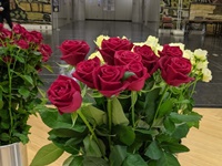 PXL_20211201_001325424