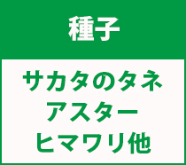サカタ紹介