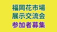 動画用素材