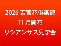 サイド-1